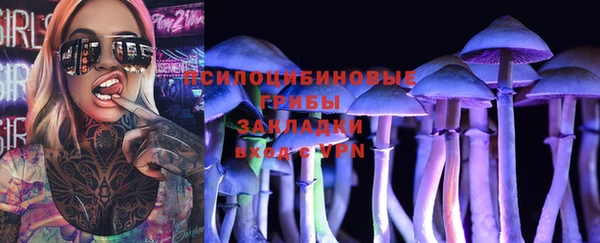 шишки Зеленодольск