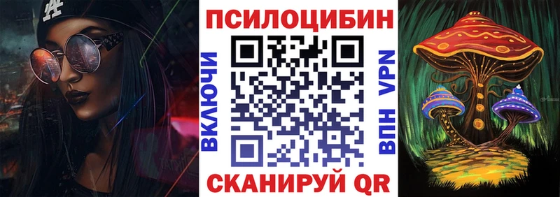 Купить где  Гусиноозёрск  Псилоцибиновые грибы Psilocybe 